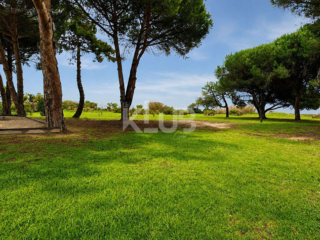 À vendre : Appartement 3 pièces à MORIANI PLAGE - photo 11