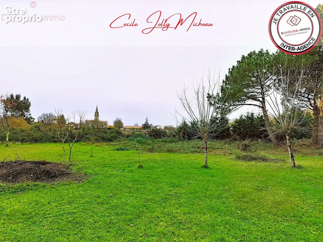 Terrain 3 000 m² à vendre à Cartelegue (33390) - photo 14
