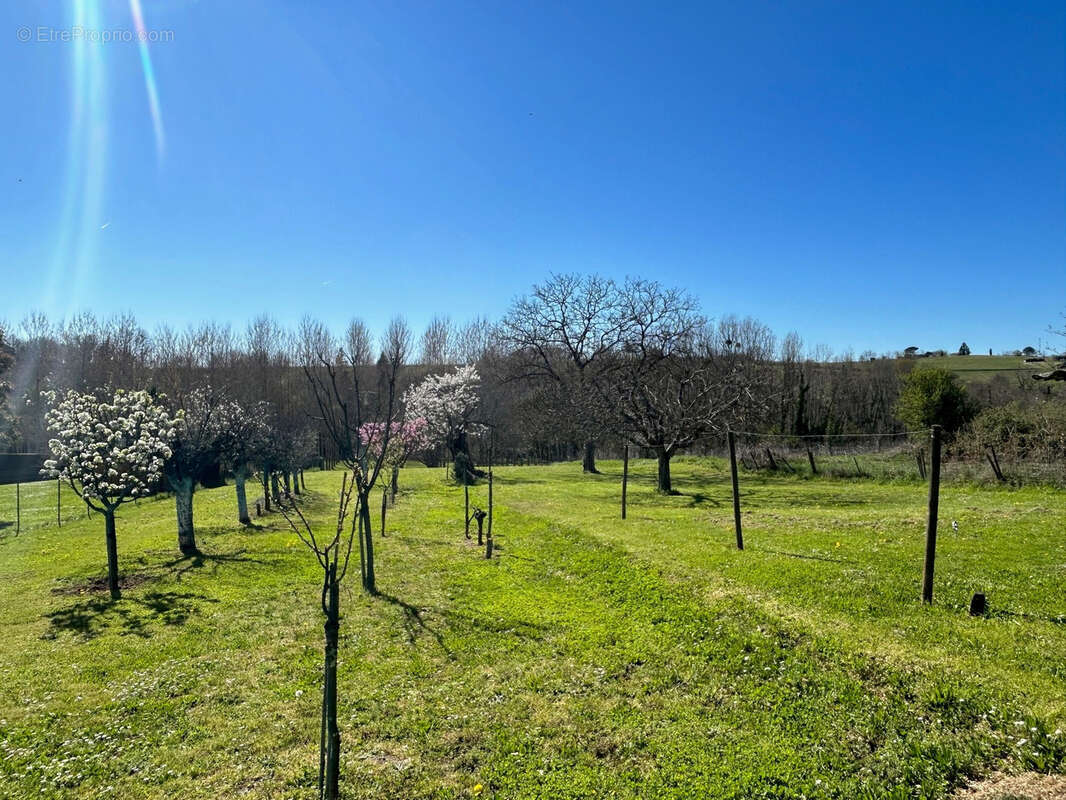 Maison à SAINT-MARTIN-DE-SESCAS