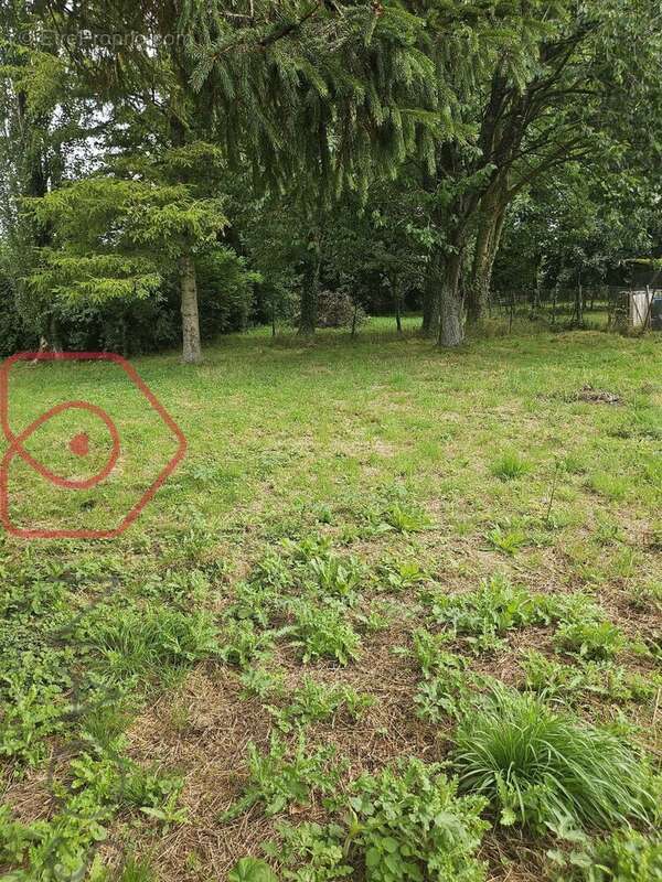 Maison à LE TREPORT