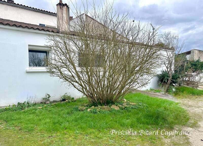 Maison à AIGREFEUILLE-D'AUNIS