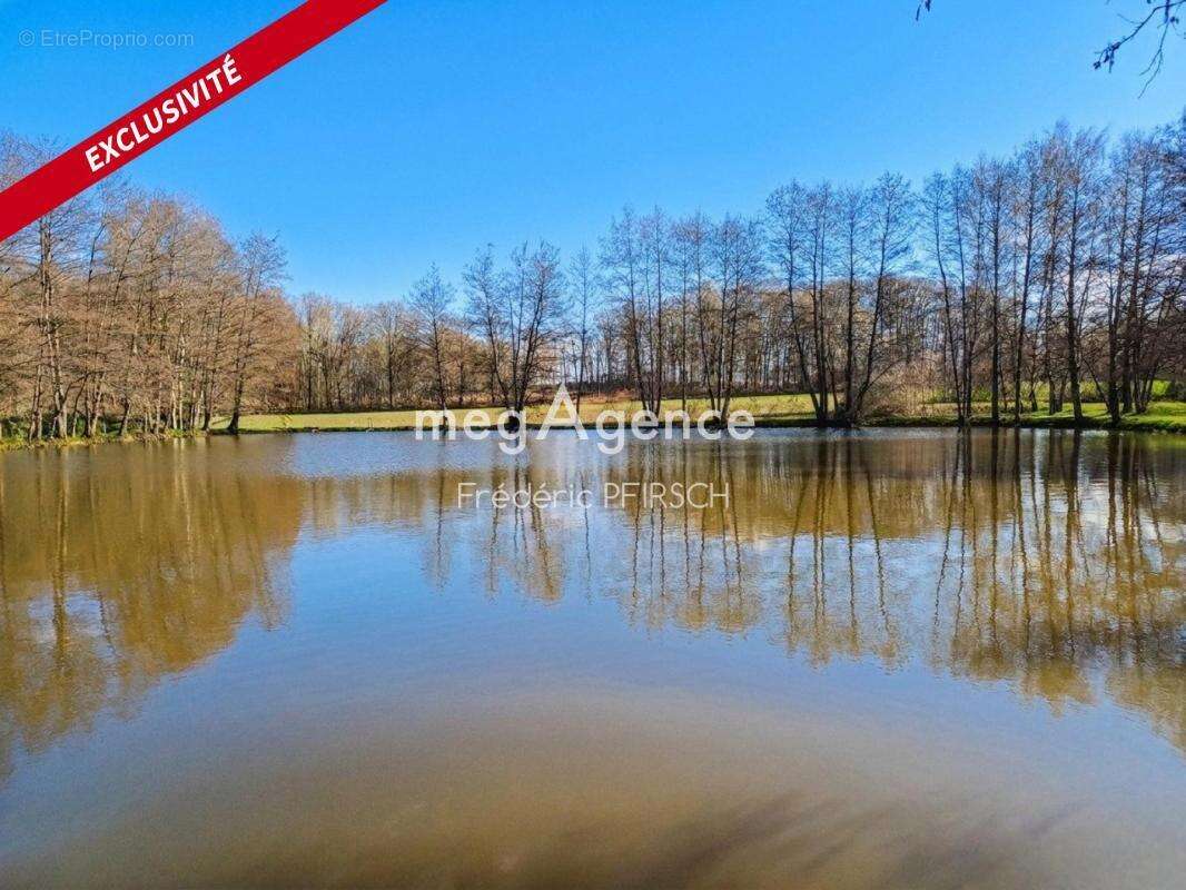 Terrain à DANNEMARIE