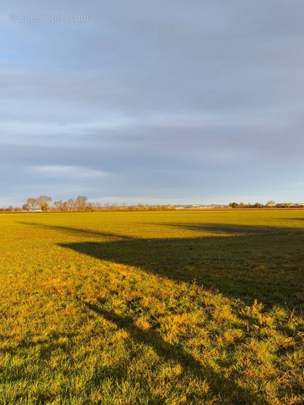 Terrain à SAINTE-LHEURINE