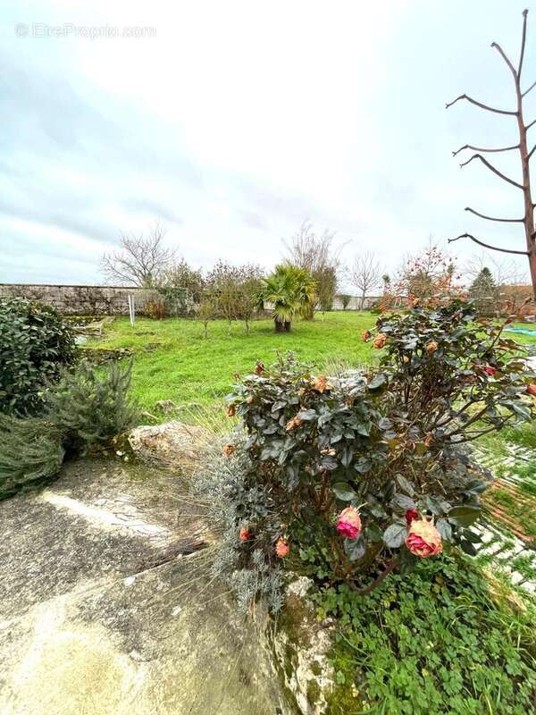 Photo 4 - Maison à LA FERTE-GAUCHER