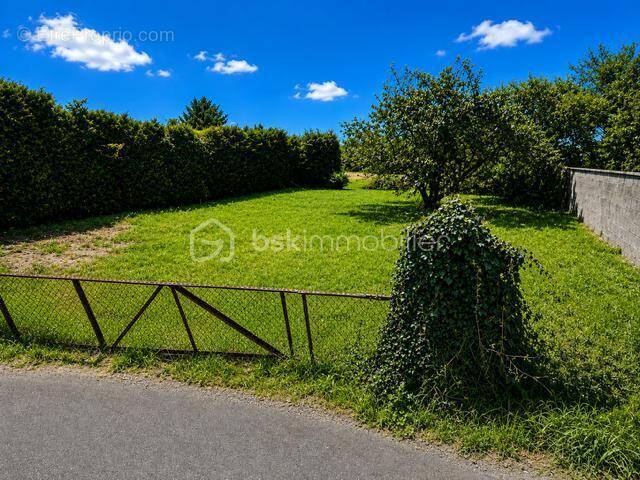 Terrain à MAZE
