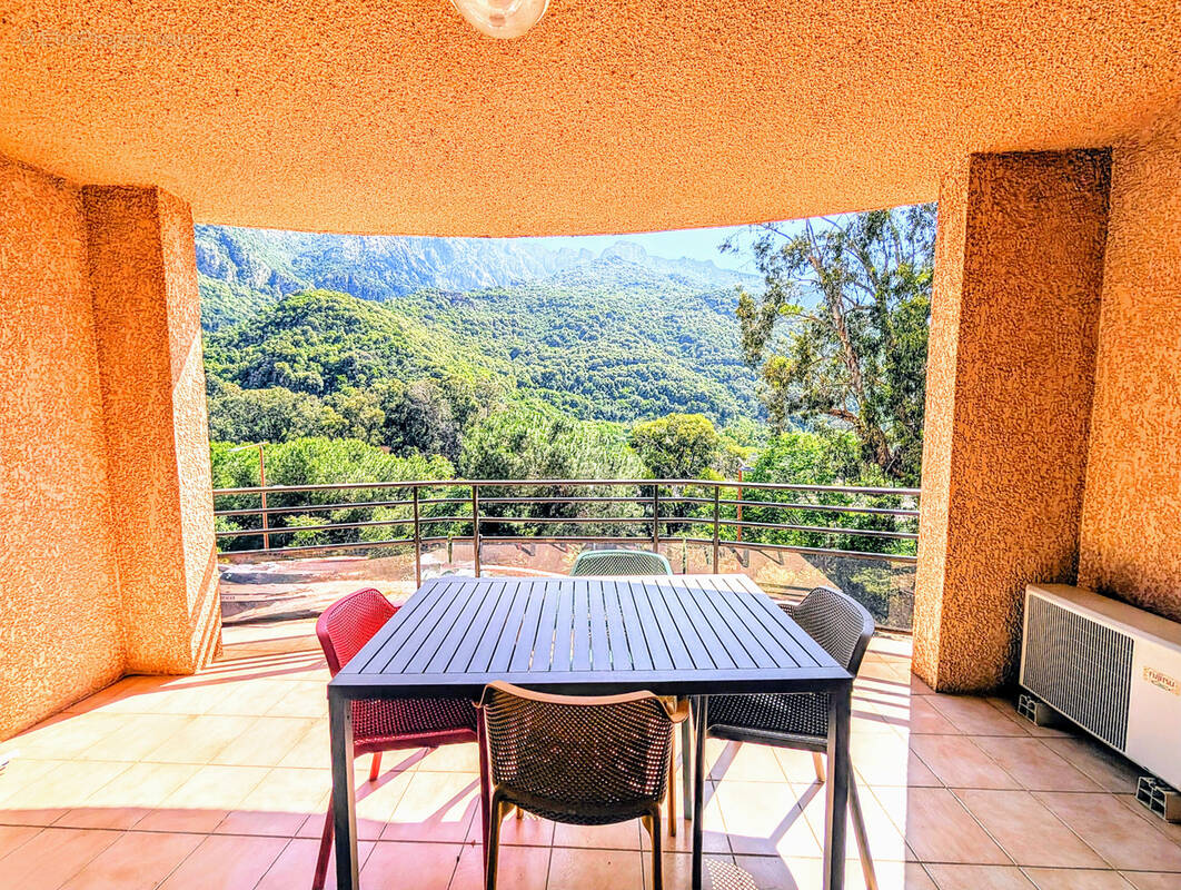 Vente : studio 400m plages (31m2) à porto - photo 2