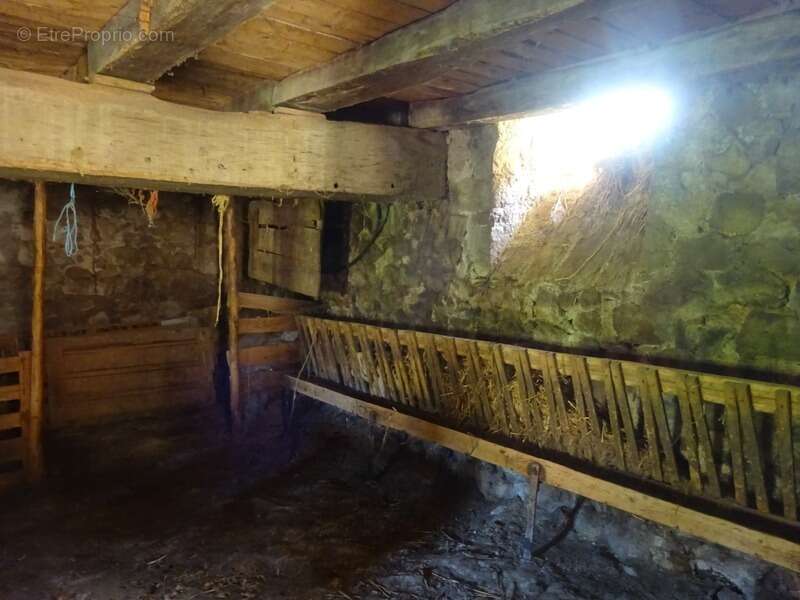 Maison à DOMPIERRE-LES-ORMES