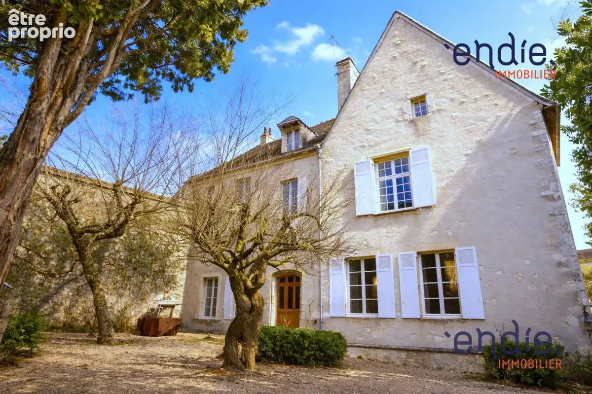 Maison 12 pièces 390 m² à vendre à Mehun-Sur-Yevre (18500) - photo 2