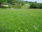 Terrain à PROISSANS