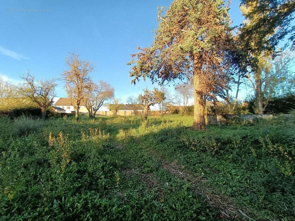 Terrain à SAINT-POURCAIN-SUR-SIOULE