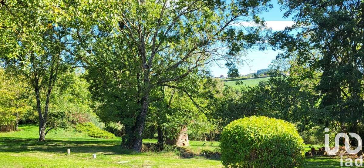 Photo 9 - Maison à ROZIER-EN-DONZY