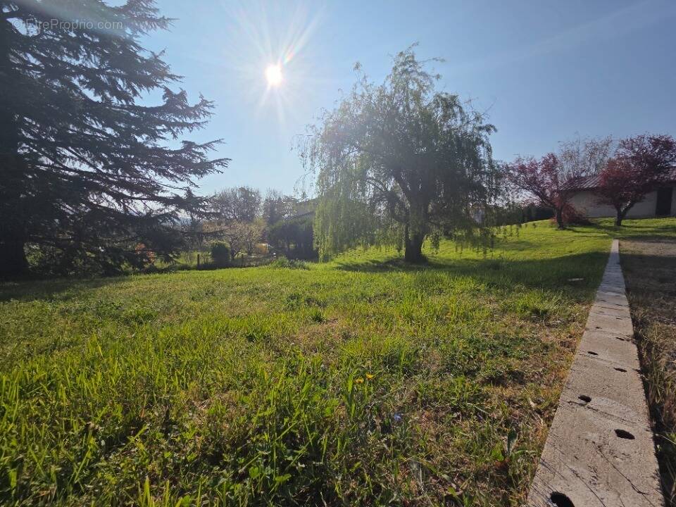 Terrain à DOMMARTIN