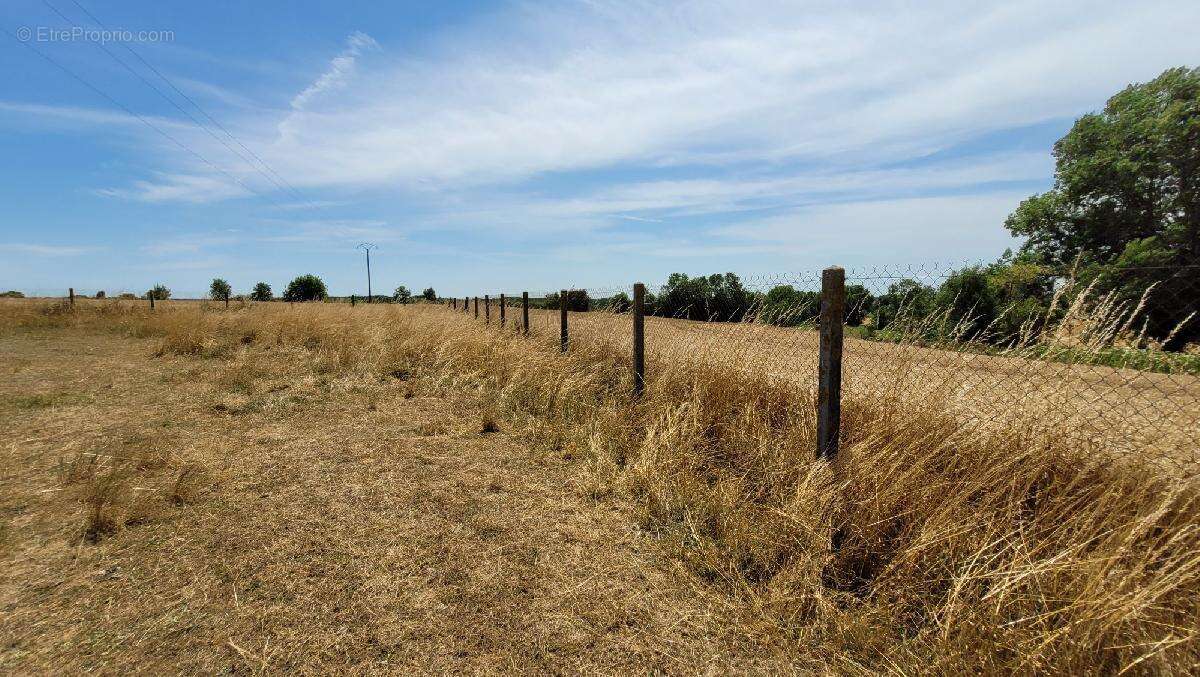 Terrain à SAINT-PIERRE-DE-L&#039;ILE