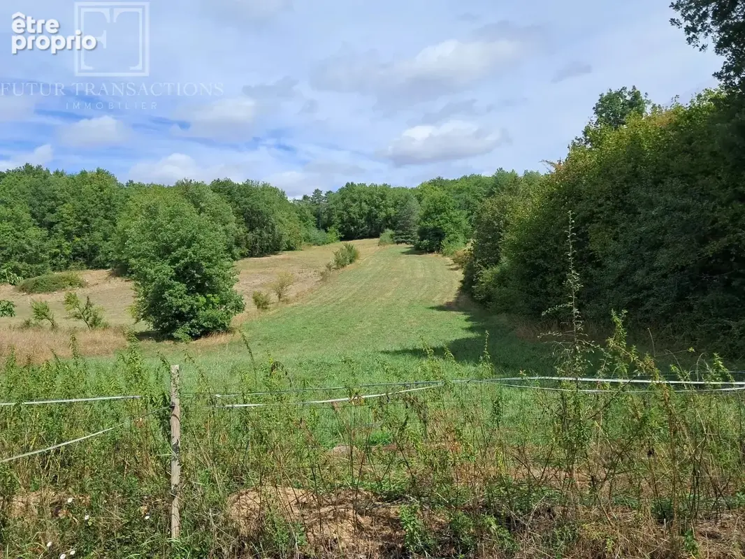 Maison et grange sur 8438 m² - photo 3