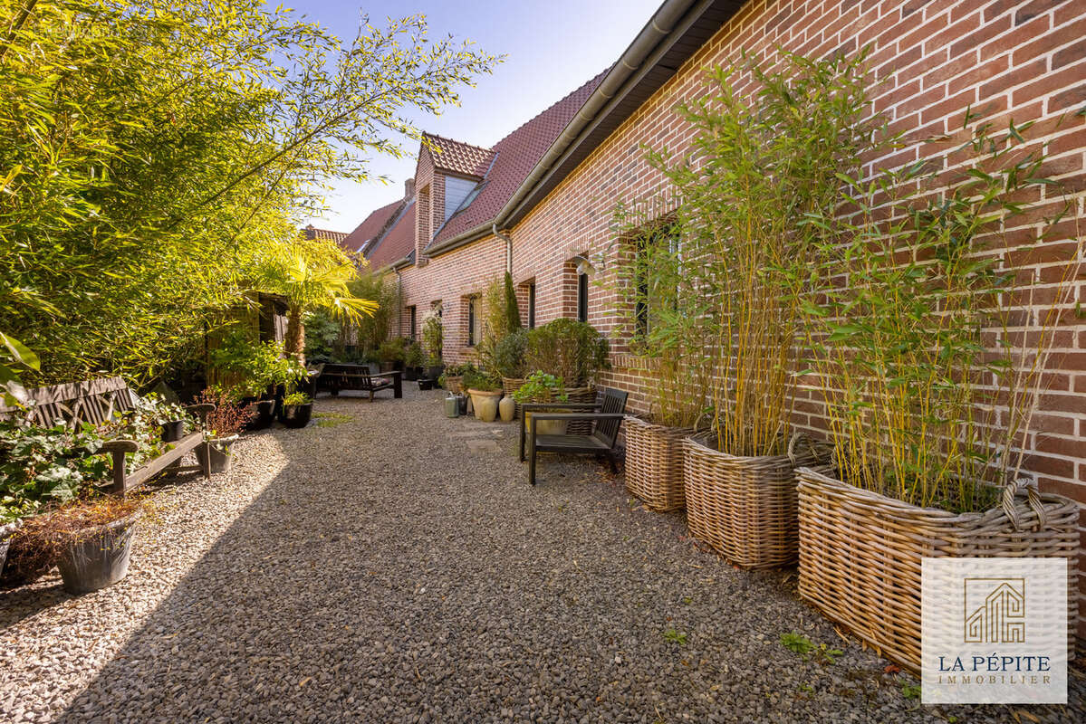 Maison à COUTICHES