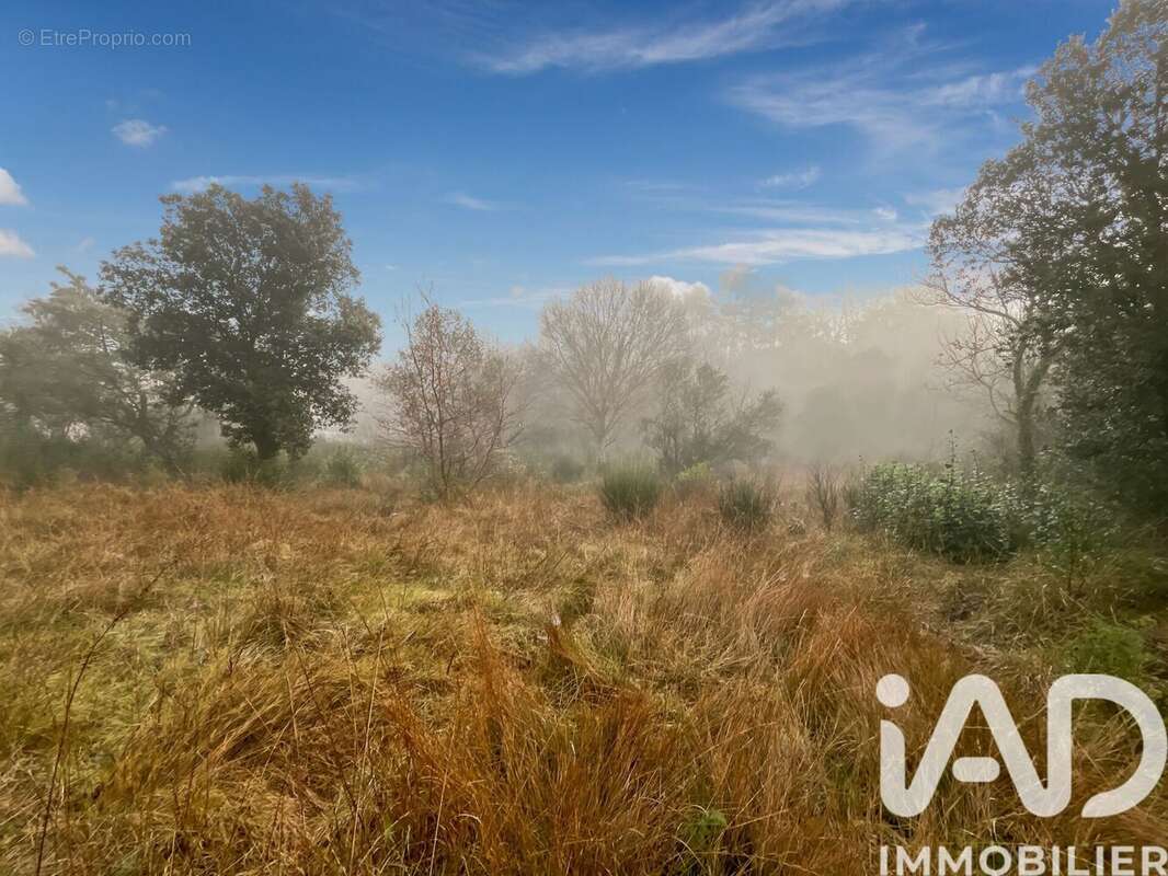 Photo 3 - Terrain à SAINT-ANDRE-DE-ROQUEPERTUIS