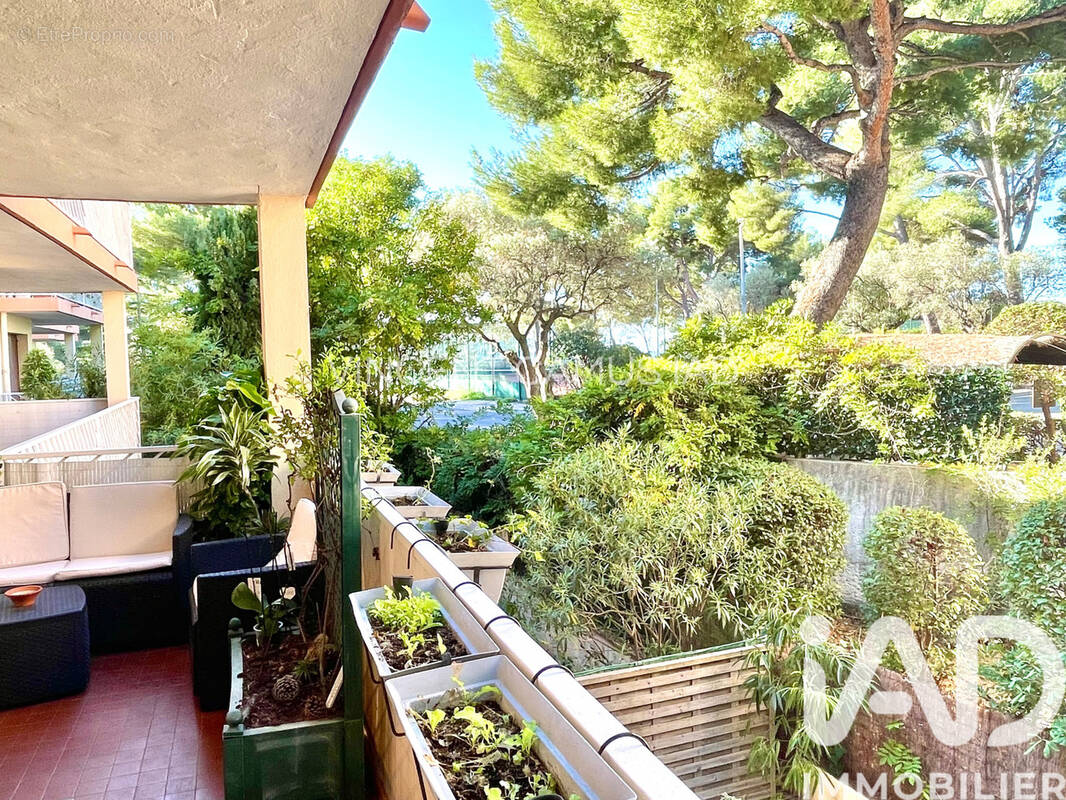 Photo 1 - Appartement à SANARY-SUR-MER