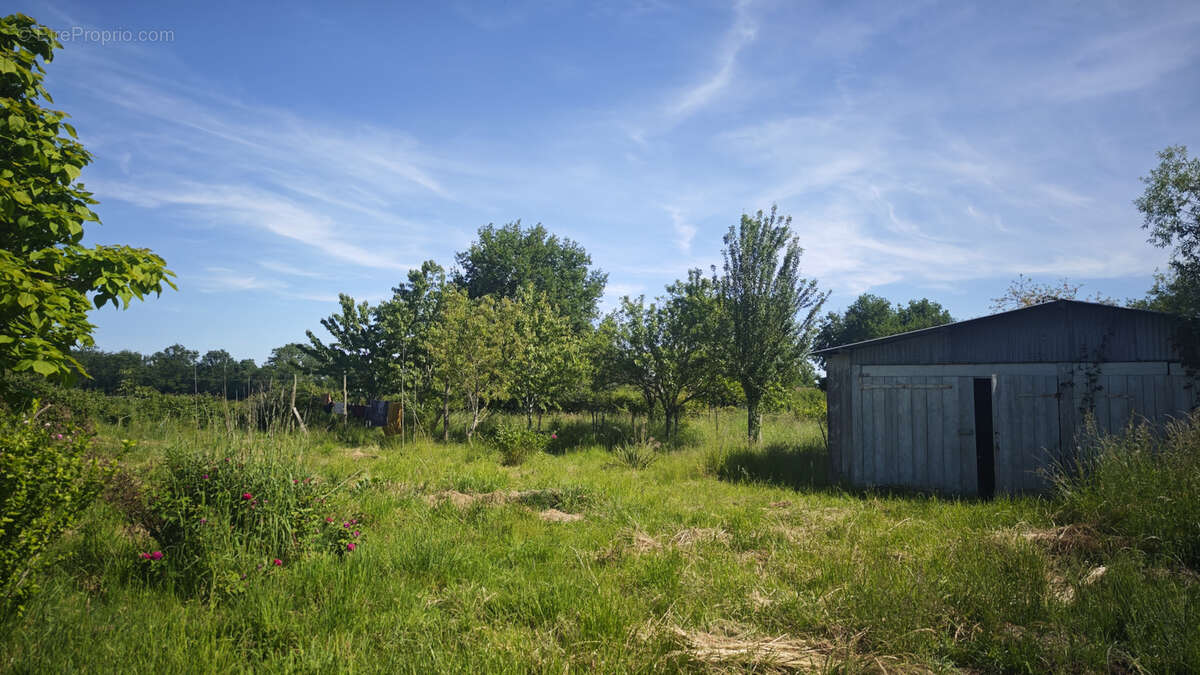 Maison de campagne - photo 14