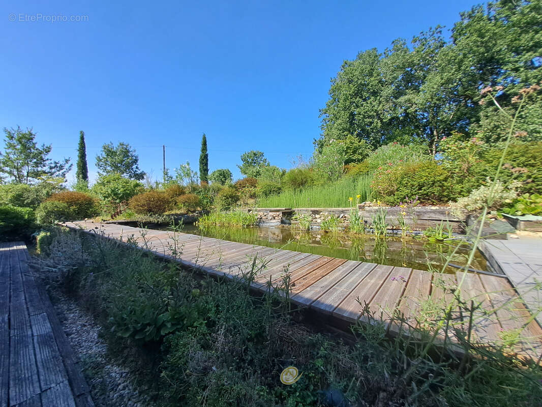 Maison bioclimatique à ossature bois, piscine biologique, gîte indépendant et panneaux solaires - photo 16