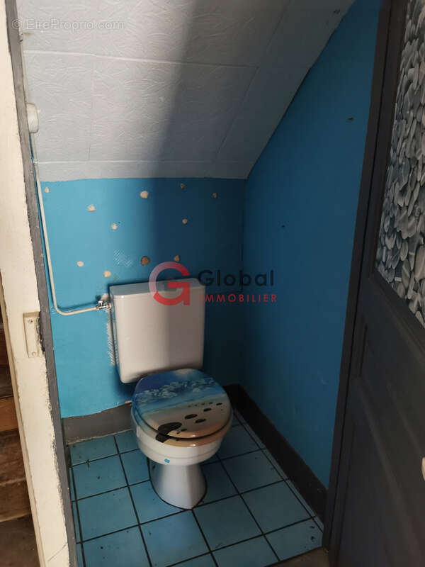RARE ! Ensemble immobilier de 2 maisons à Landogne (63380) - photo 6