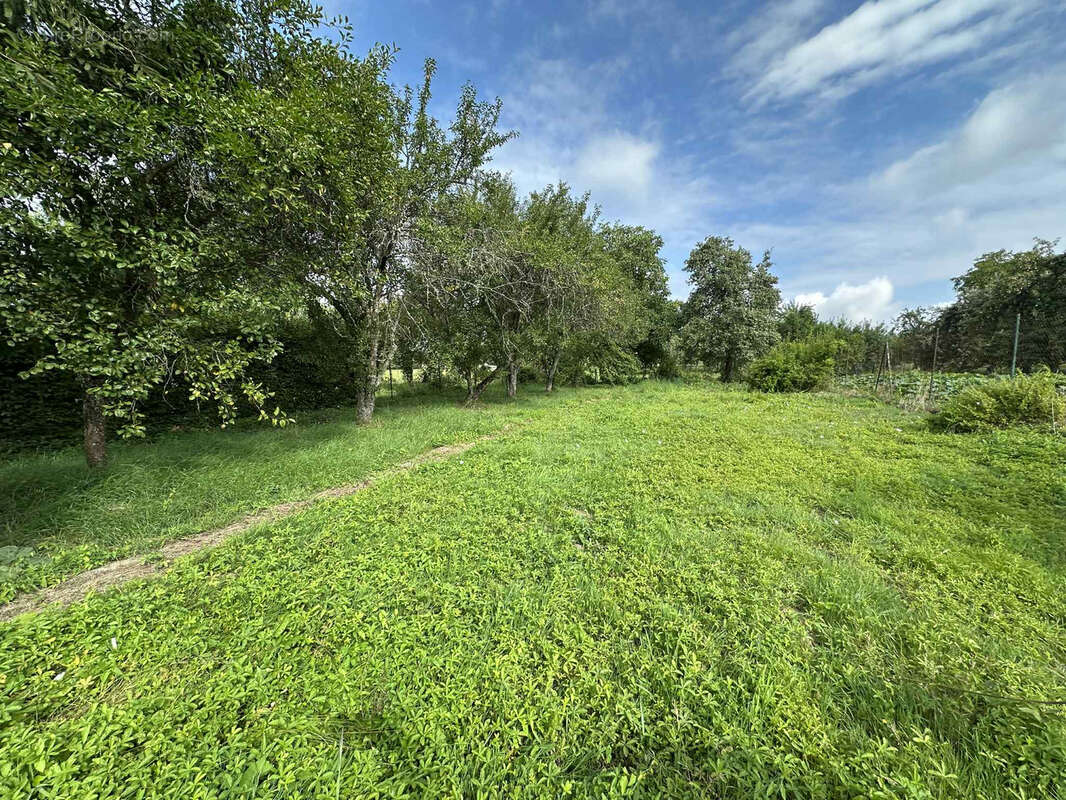Maison à NEUVILLER-LES-BADONVILLER