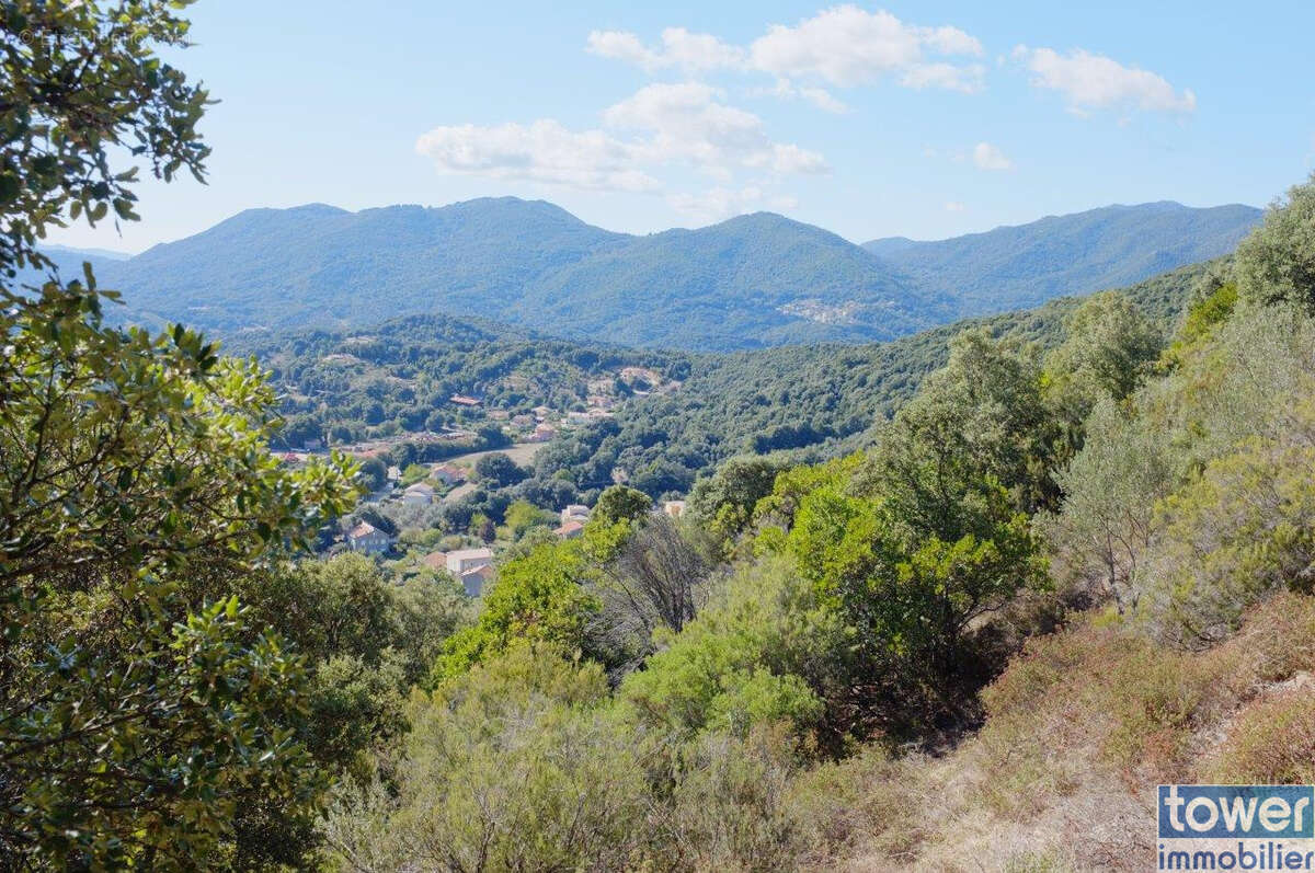 Terrain à SANTA-MARIA-SICHE