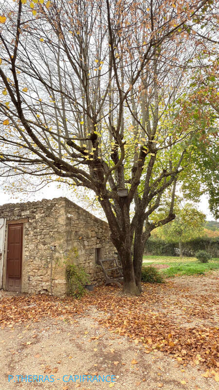 En exclusivité - Authentique bergerie Provençale du XIXème siècle à fort potentiel - photo 14