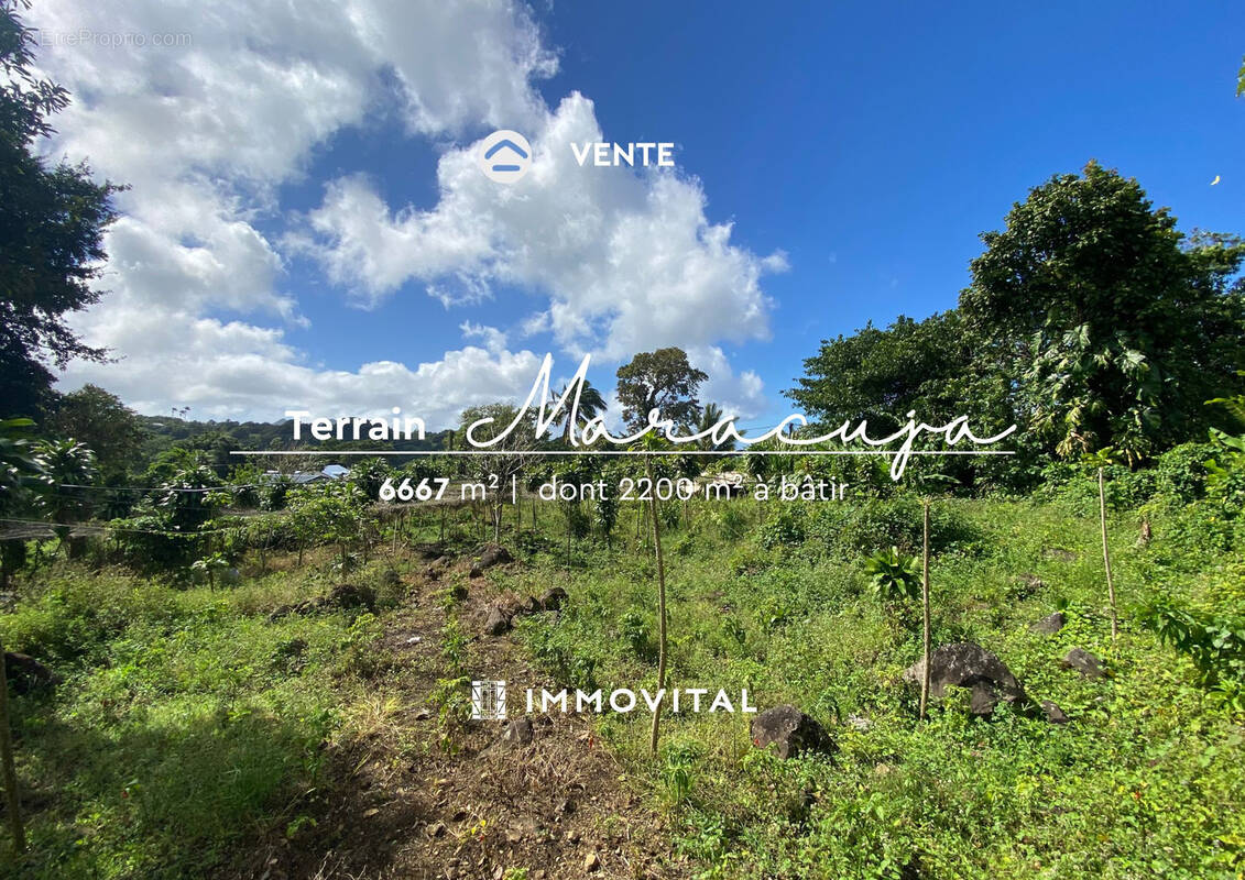 Terrain à SAINT-CLAUDE