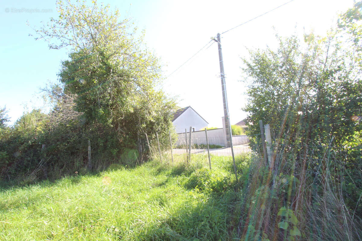 Terrain à LA CHARITE-SUR-LOIRE