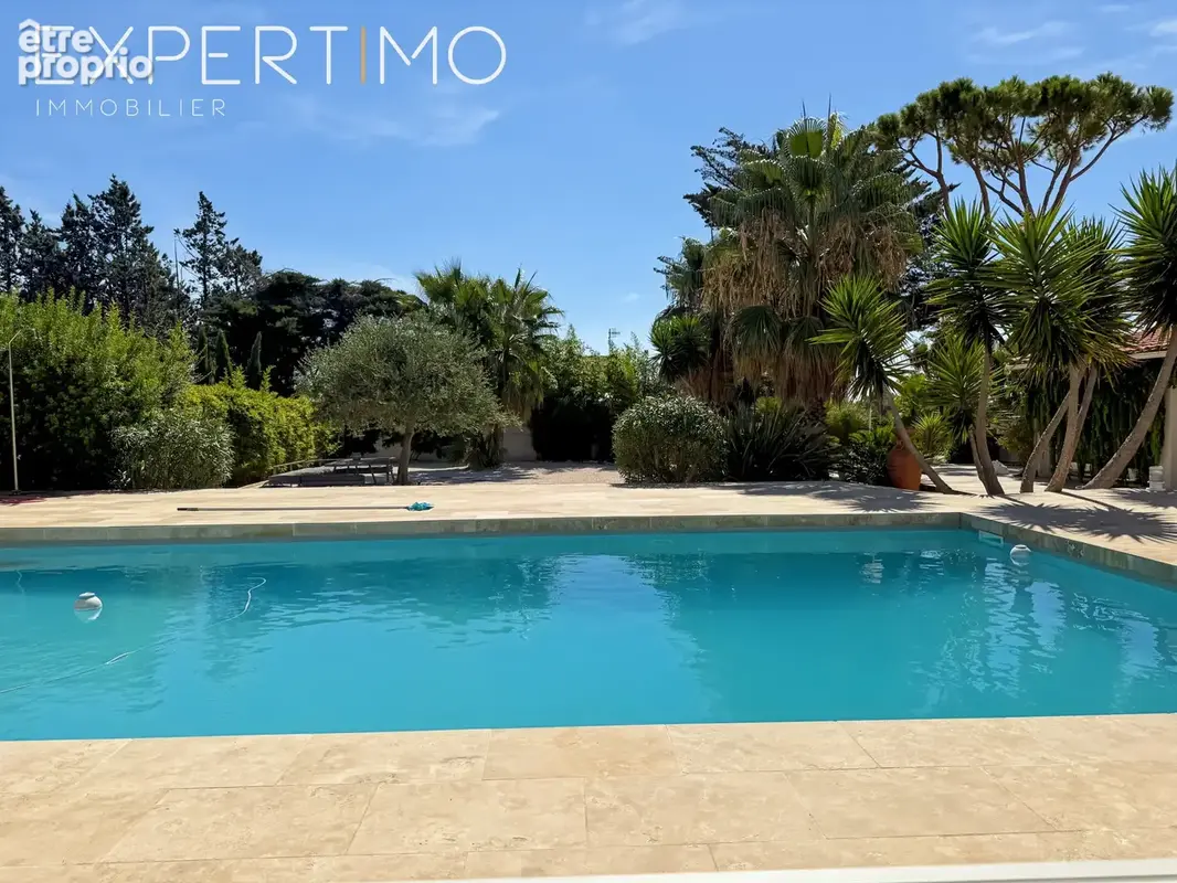 Propriété de 457 m2 + Piscine avec Pool House + 4 garages sur 5500 m2. - photo 35