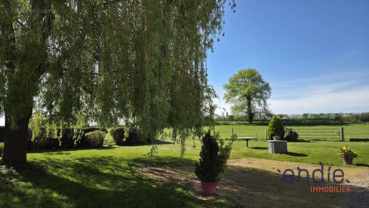 Maison à TOULON-SUR-ALLIER