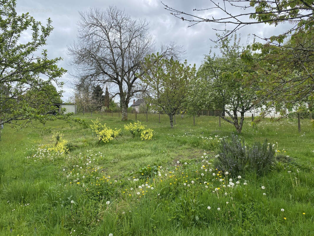 Terrain à ARNAC-POMPADOUR