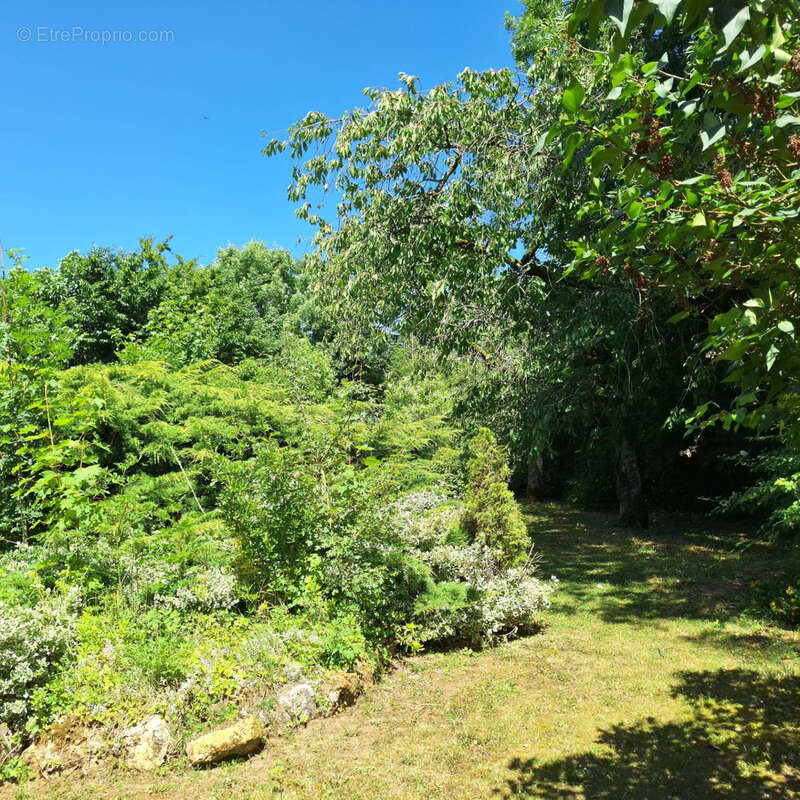 Maison à MARLES-EN-BRIE