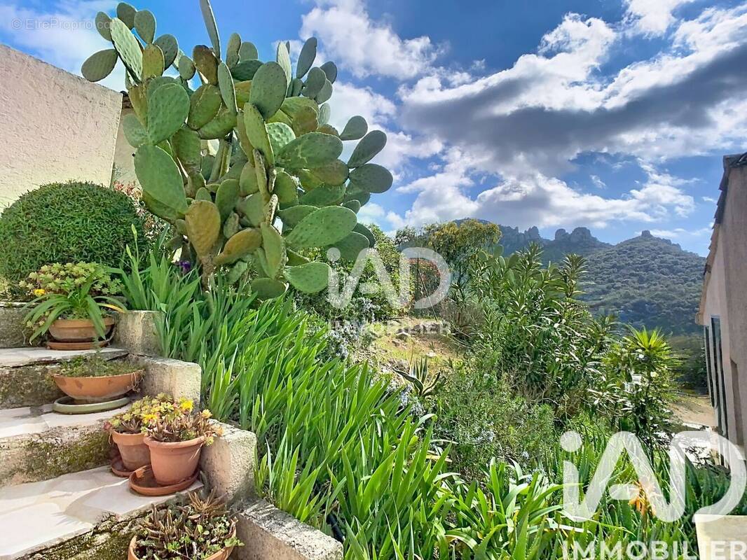 Photo 1 - Maison à MANDELIEU-LA-NAPOULE