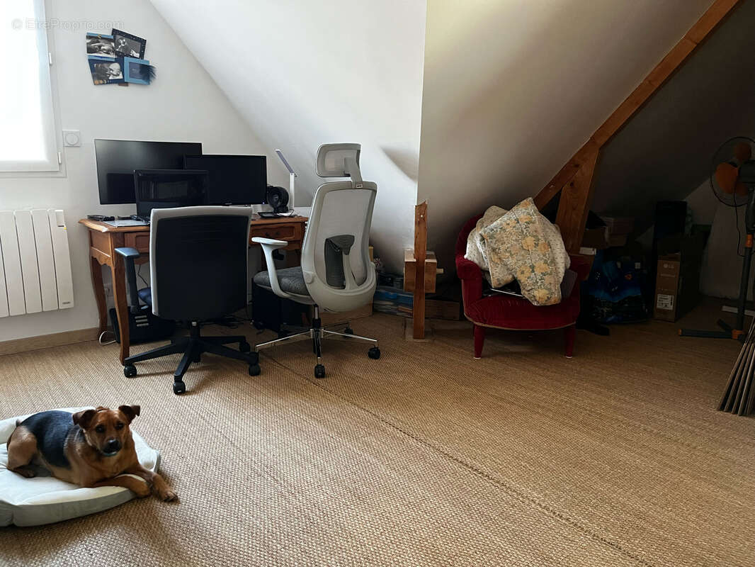 Maison à SAINT-PATRICE