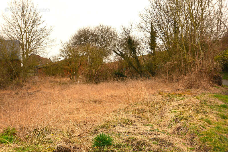 Terrain constructible à vendre  ORSINVAL (59), 414 m² - photo 6