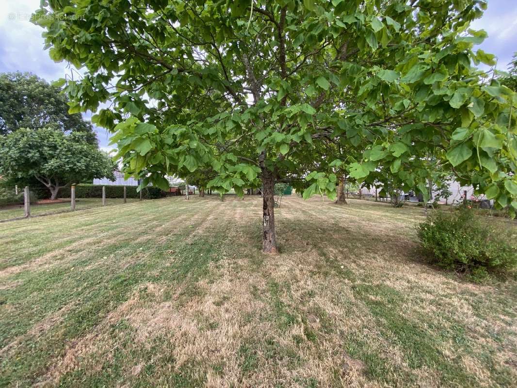 Terrain à BONREPOS-SUR-AUSSONNELLE