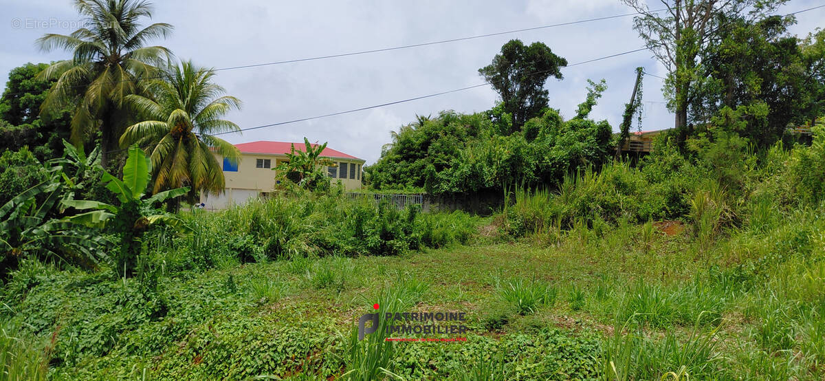 Terrain à GOYAVE