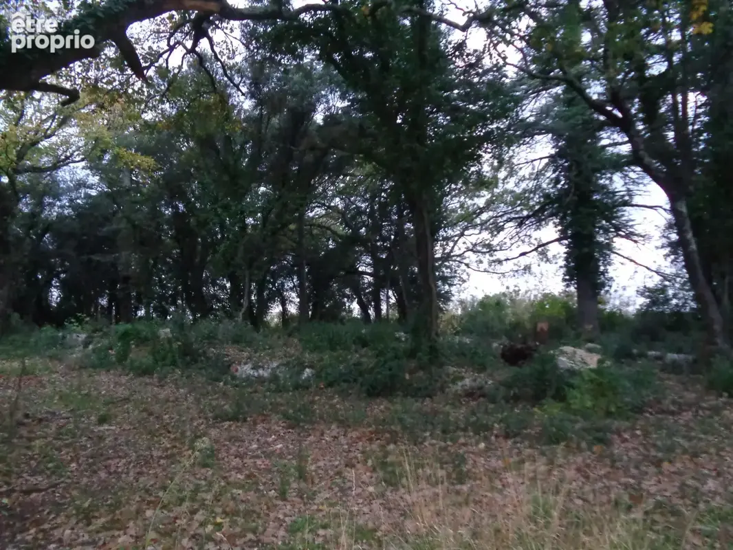 Gard Villevieille Terrain Agricole - photo 2