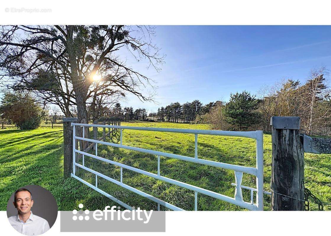 Maison à MONETAY-SUR-ALLIER