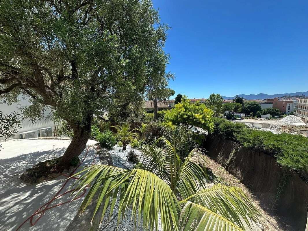 Cannes – appartement d'exception au sein d'une maison bourgeoise – 165 m² – jardin privatif de 260 m² - photo 4