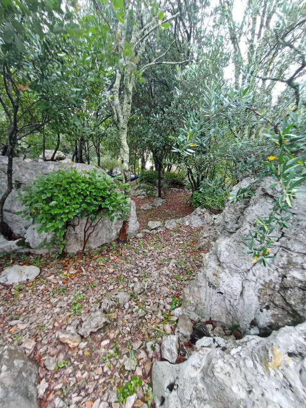 Maison à vendre à Sauve - Référence 2431 - photo 13