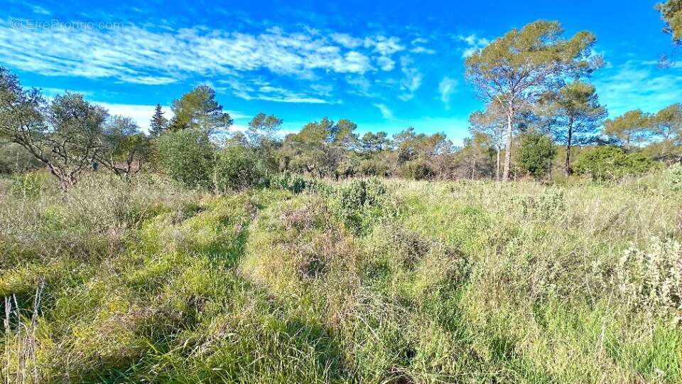 Terrain à BAGNOLS-EN-FORET