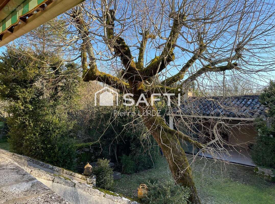 Photo 3 - Maison à BELMONT-SAINTE-FOI