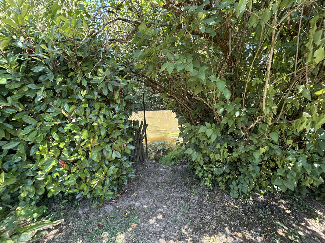 Maison de hameau au bord de la charente - photo 5