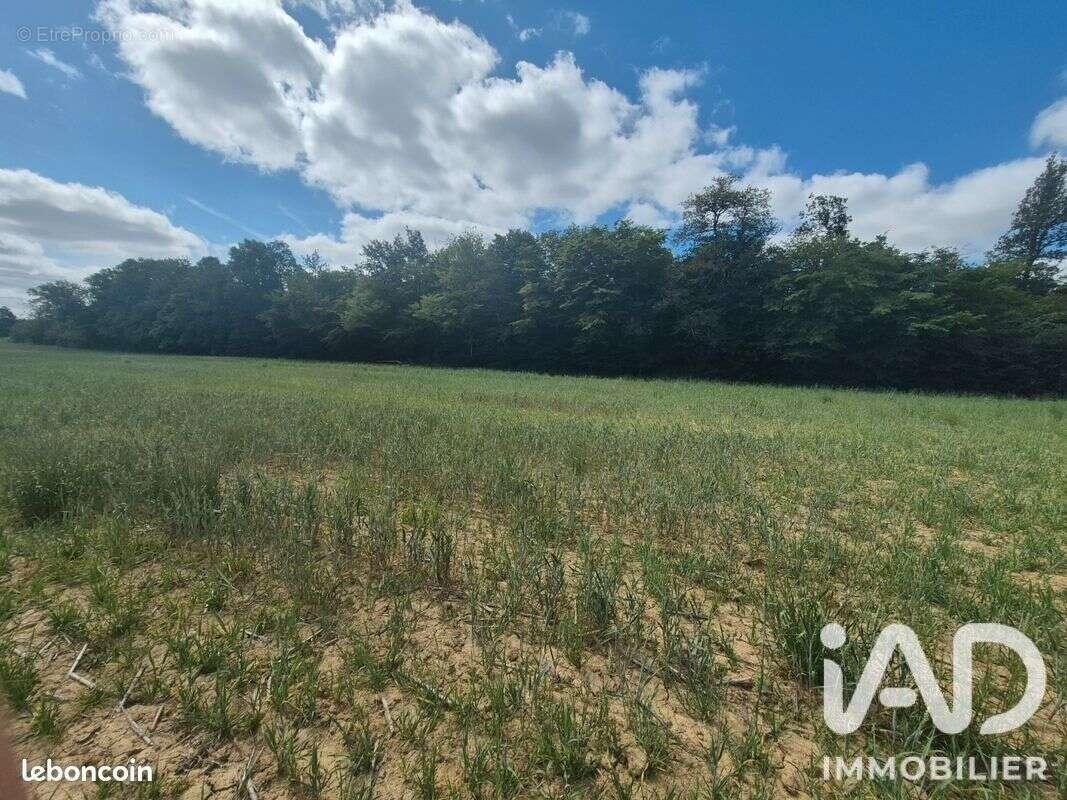 Terrain 188010 m² à Chevenon  - photo 2