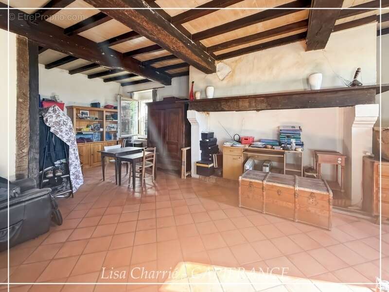 Propriete à vendre 11 pièces de 406 m2 habitables au total, avec dépendance sur 5261 m2 proche de NOGARO (32) - photo 10