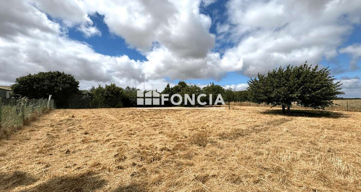 Terrain à DOMPIERRE-SUR-MER