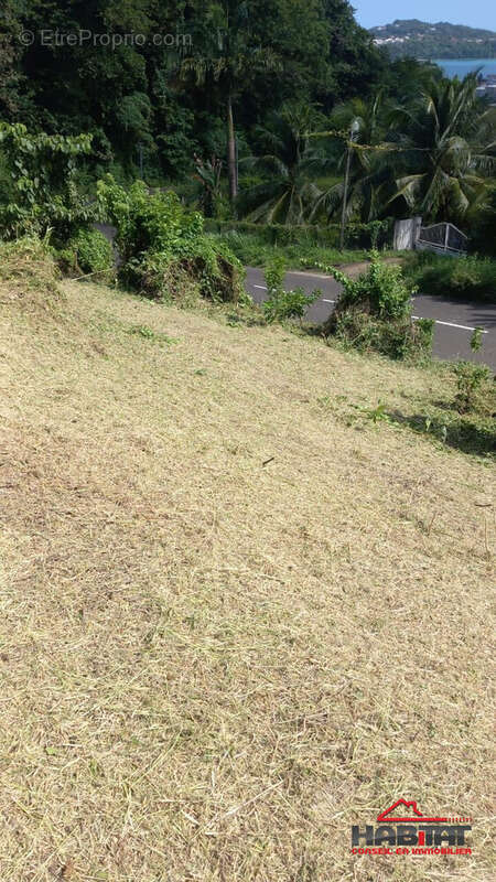 Terrain à LA TRINITE