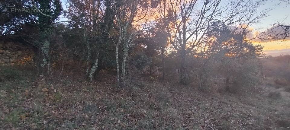 Terrain à BARJAC